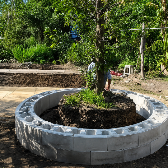 Chậu Trồng C&acirc;y Kiểng Lắp Gh&eacute;p
