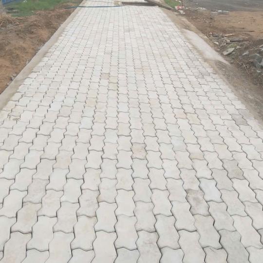 GẠCH CON S&Acirc;U B&Oacute;NG NH&Aacute;M DA BƯỞI