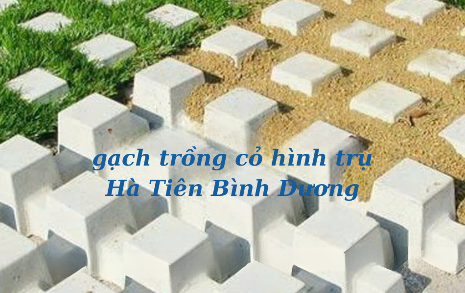GẠCH TRỒNG CỎ H&Igrave;NH TRỤ