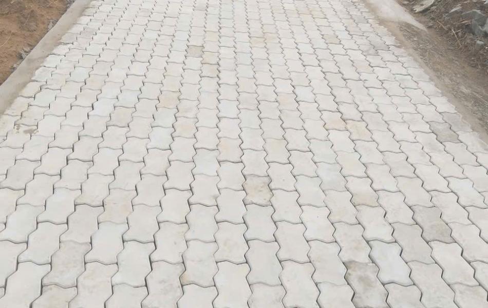 GẠCH CON S&Acirc;U B&Oacute;NG NH&Aacute;M DA BƯỞI