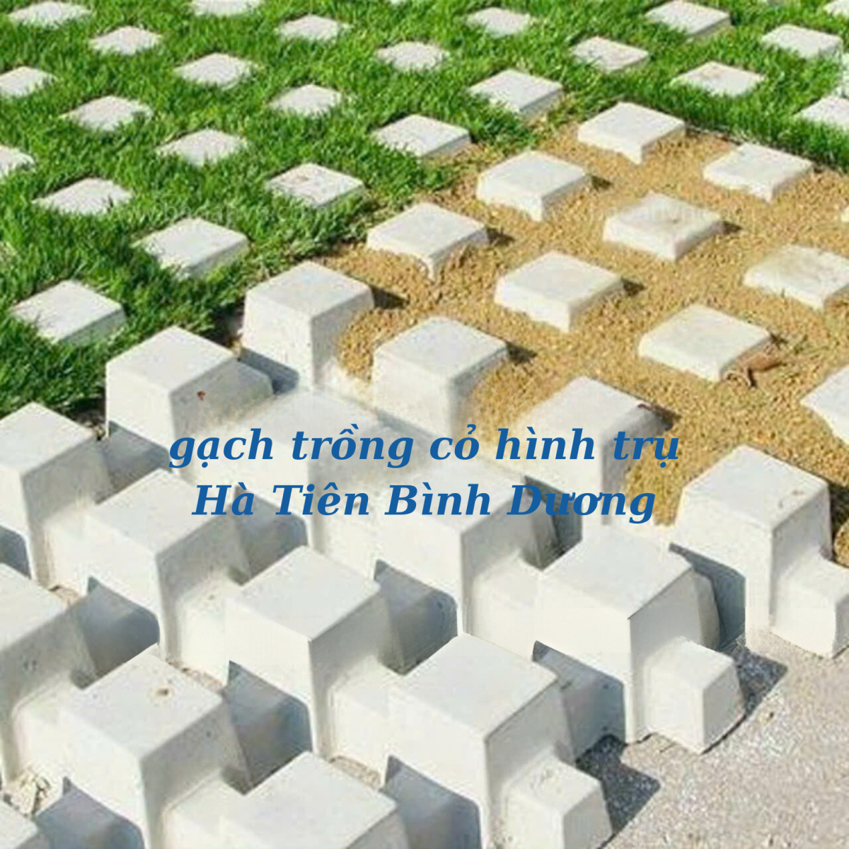GẠCH TRỒNG CỎ HÌNH TRỤ 330x330x110